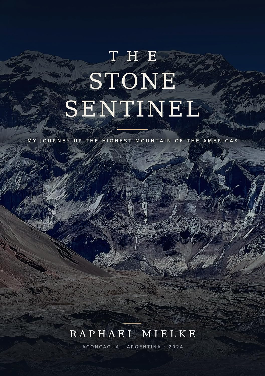 The Stone Sentinel: My Journey Up the Highest Mountain of the Americas (English Edition) baixar o livro de graça