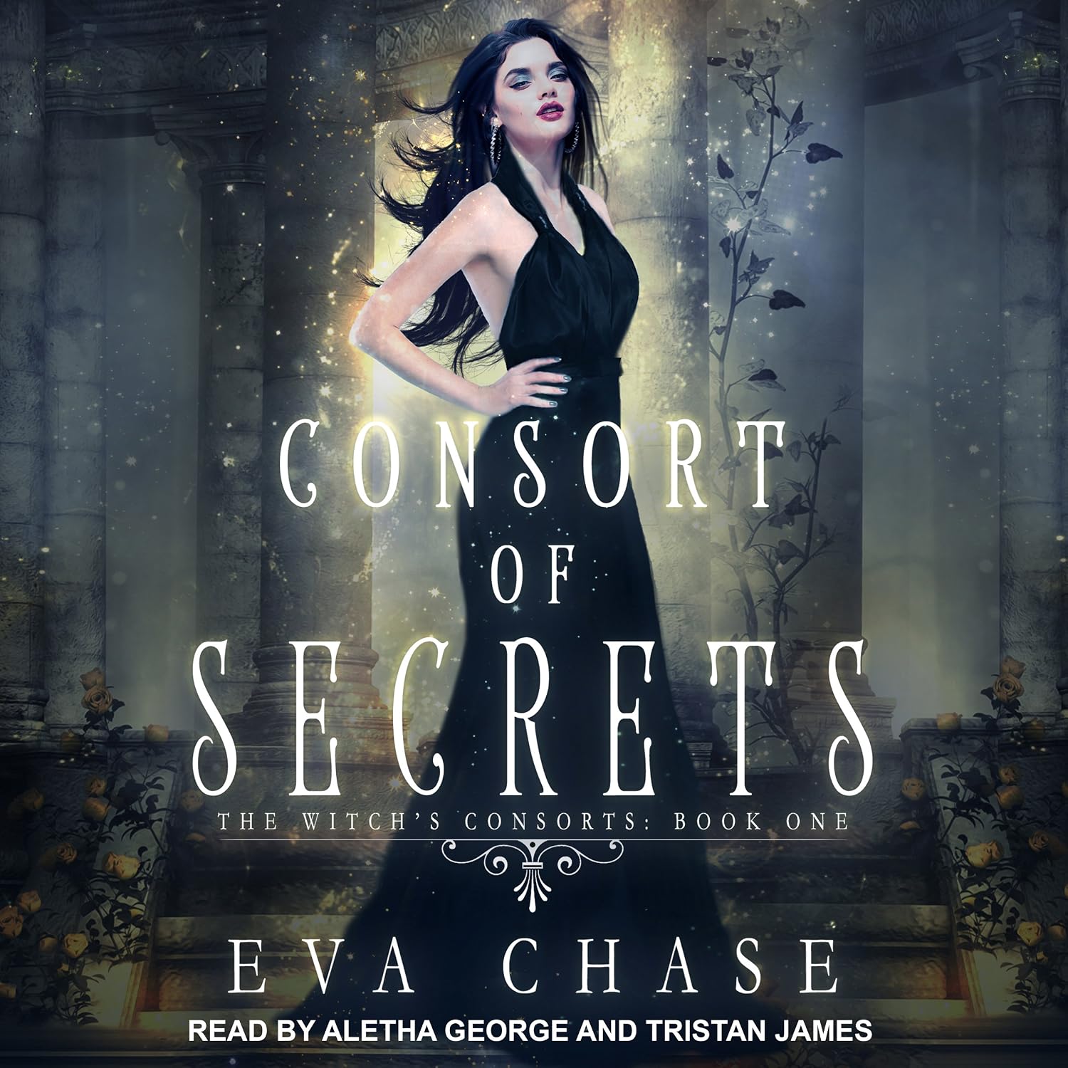 Consort of Secrets: Witch's Consorts Series, Book 1 baixar livro de graça