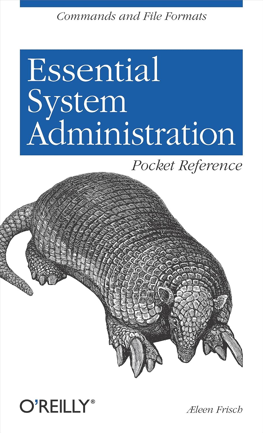 ler totalmente Essential System Administration Pocket Reference: Commands and File Formats (Pocket Administrator) (English Edition)