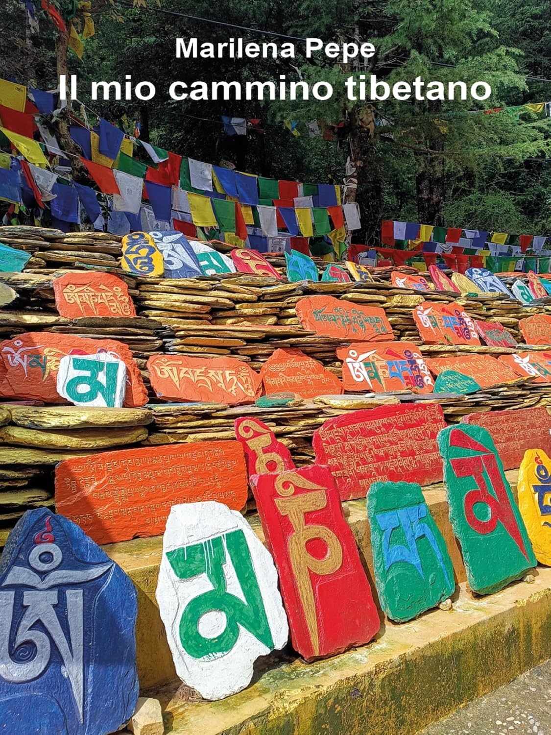 Il mio cammino tibetano (Italian Edition) baixar o livro de graça