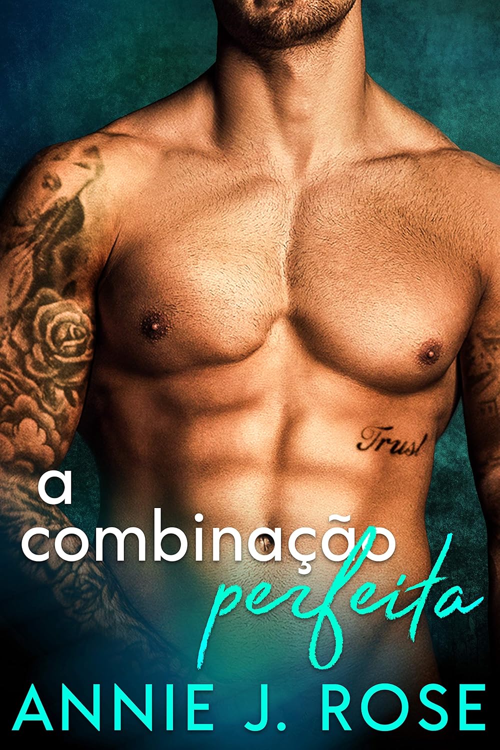 capítulo por capítulo baixar A Combinação Perfeita