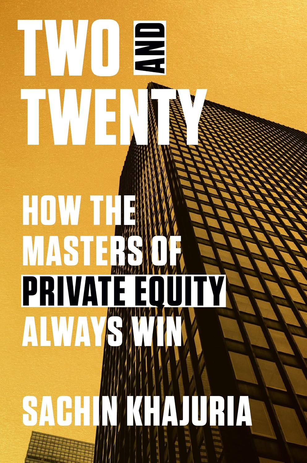 Two and Twenty: How the Masters of Private Equity Always Win (English Edition) baixar livro de graça