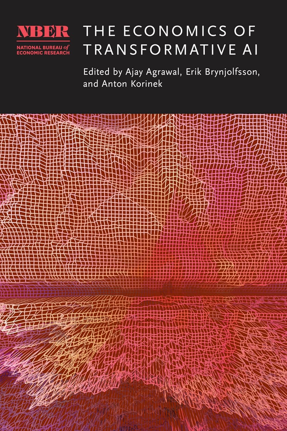 ler totalmente The Economics of Transformative AI (English Edition)
