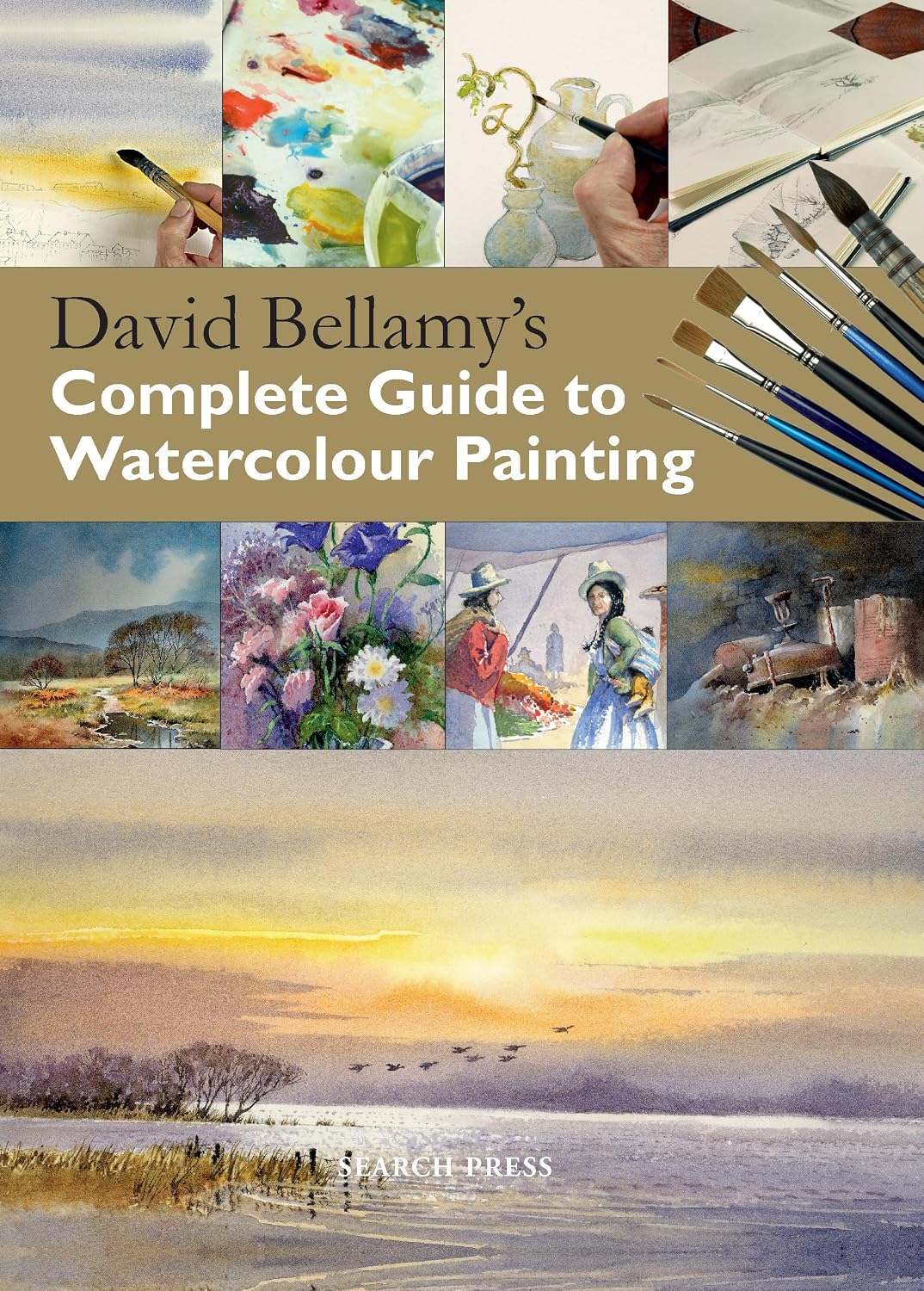 capítulo por capítulo baixar David Bellamy's Complete Guide to Watercolour Painting