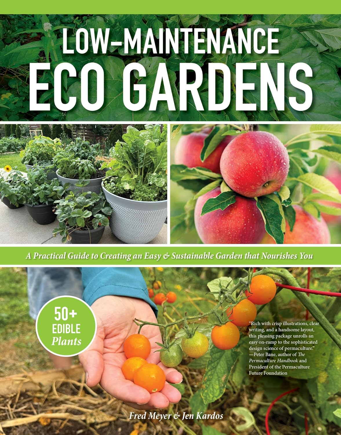 Low-Maintenance Eco Gardens: A Practical Guide to Creating an Easy & Sustainable Garden that Nourishes You (English Edition) baixar o livro de graça