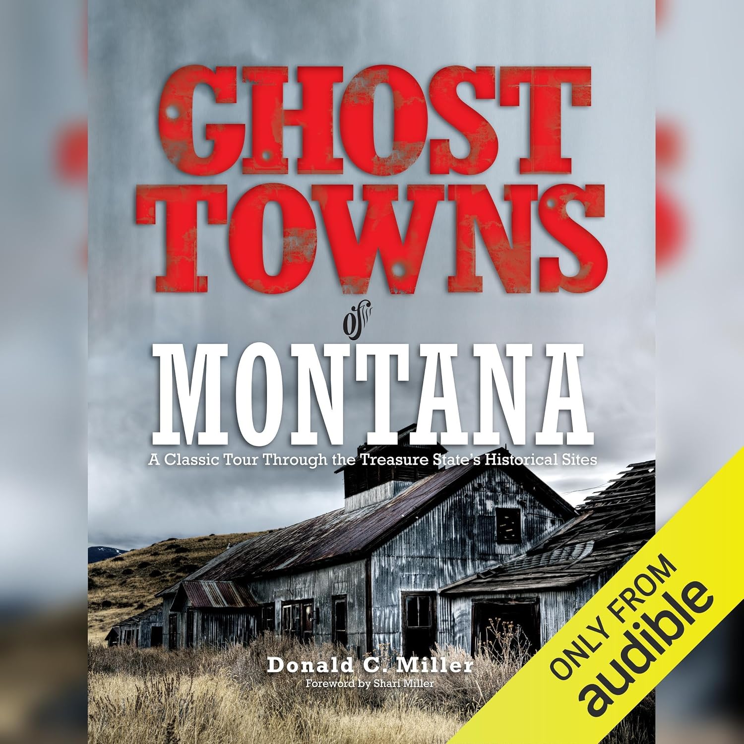 Ghost Towns of Montana baixar o livro de graça