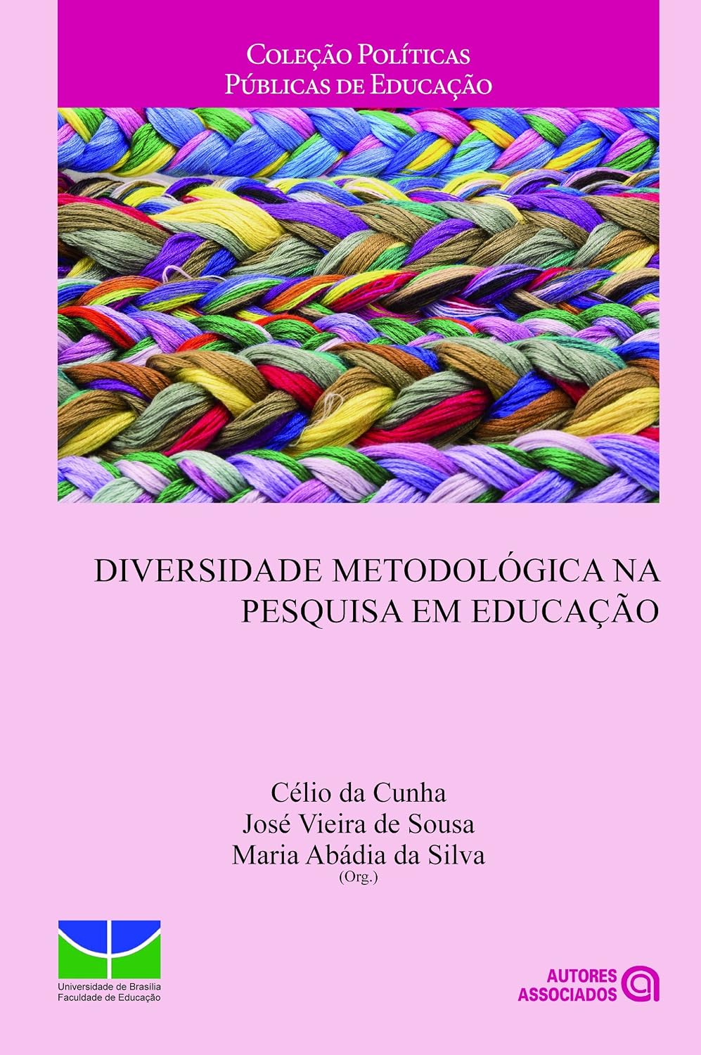 Diversidade Metodológica na Pesquisa em Educação baixar livro de graça