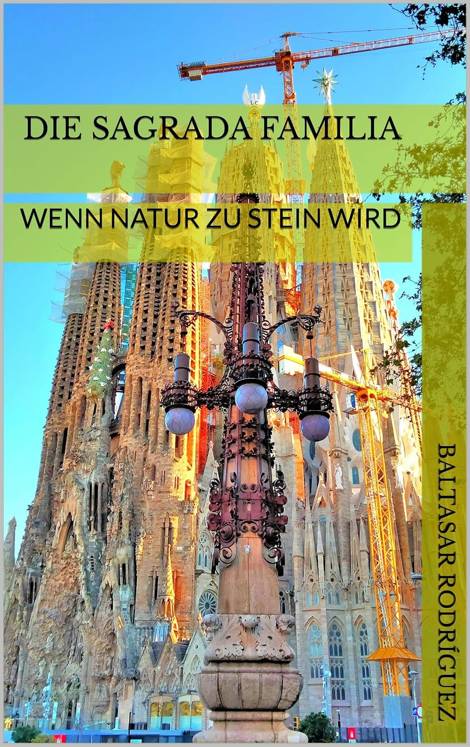 ler totalmente DIE SAGRADA FAMILIA: WENN NATUR ZU STEIN WIRD (German Edition)