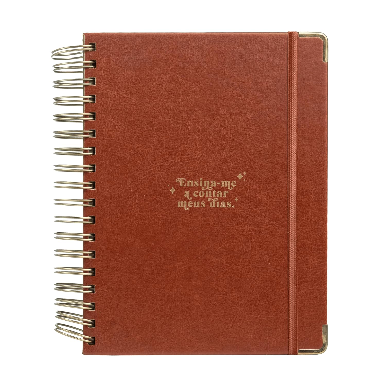 Meu plano perfeito, planner sem data, Capa luxo marrom, Clássica | Planner 2026 baixar o livro de graça