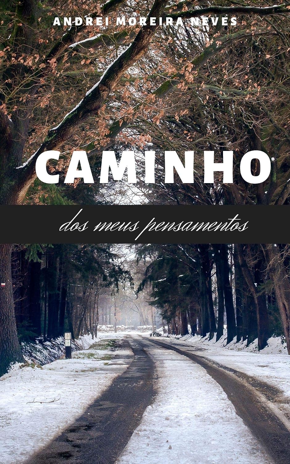 ler totalmente Caminho dos meus pensamentos