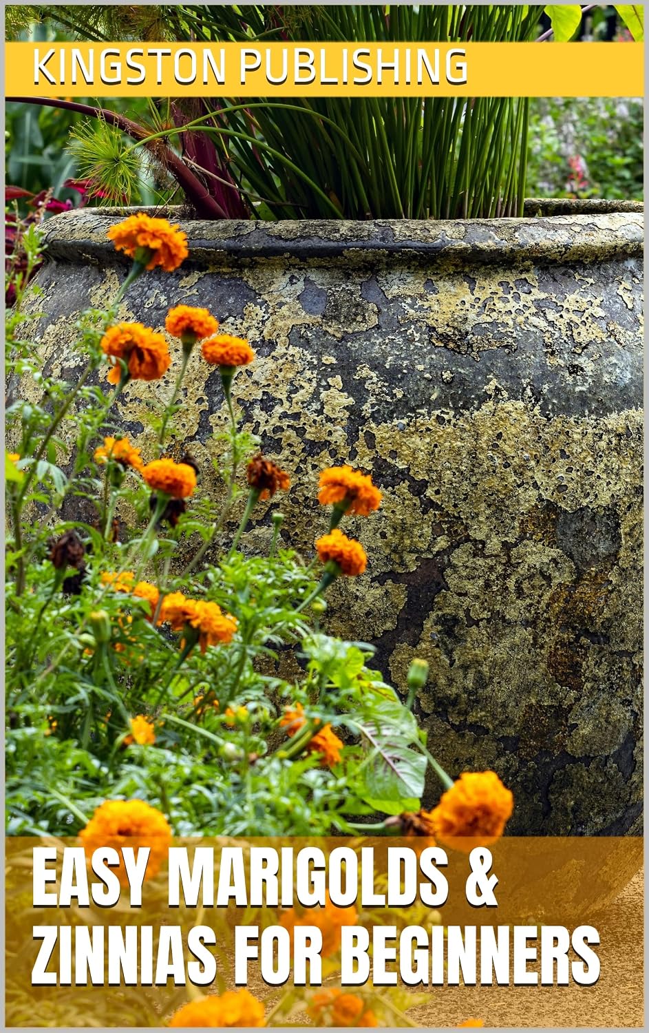 Easy Marigolds & Zinnias for Beginners (Boxed Sets - Flowers) (English Edition) baixar livro de graça