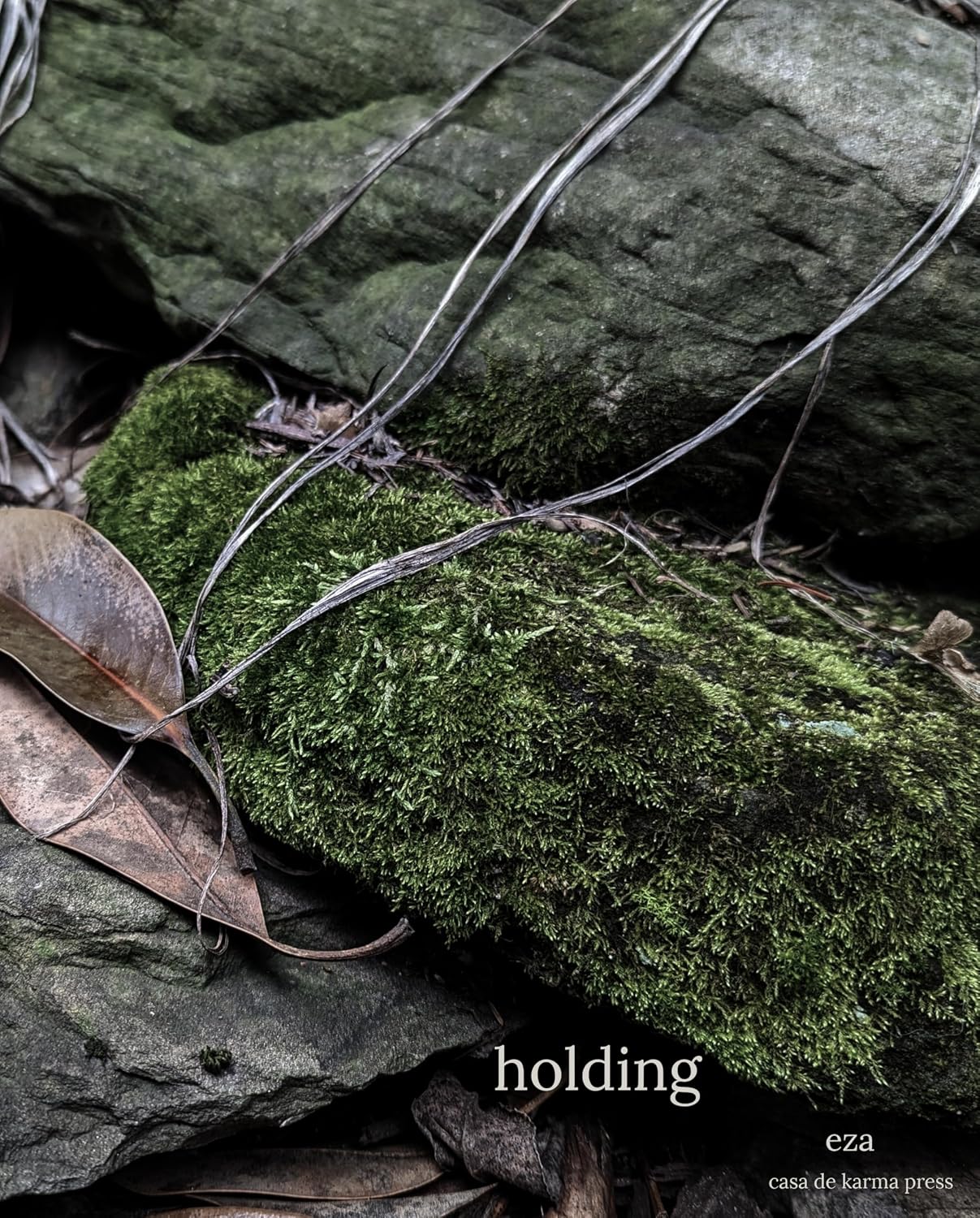 capítulo por capítulo baixar holding (English Edition)