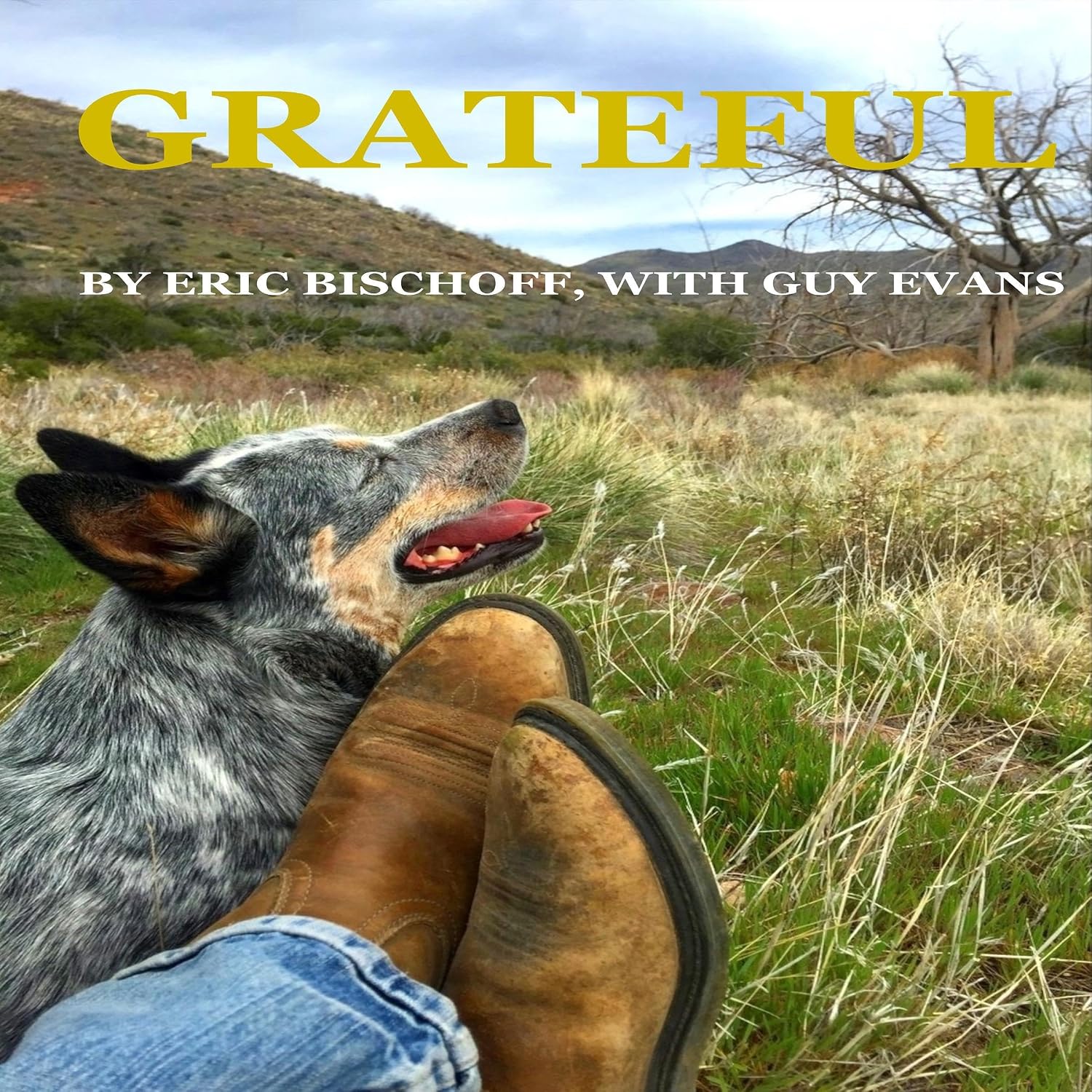 capítulo por capítulo baixar Grateful: My Long, Strange Trip...to the WWE Hall of Fame