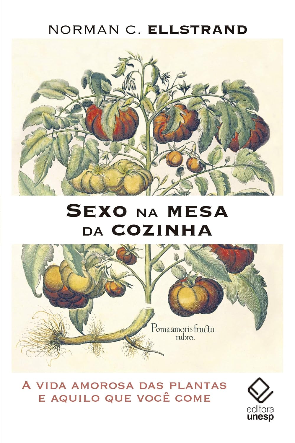 Sexo na mesa da cozinha: A vida amorosa das plantas e aquilo que você come