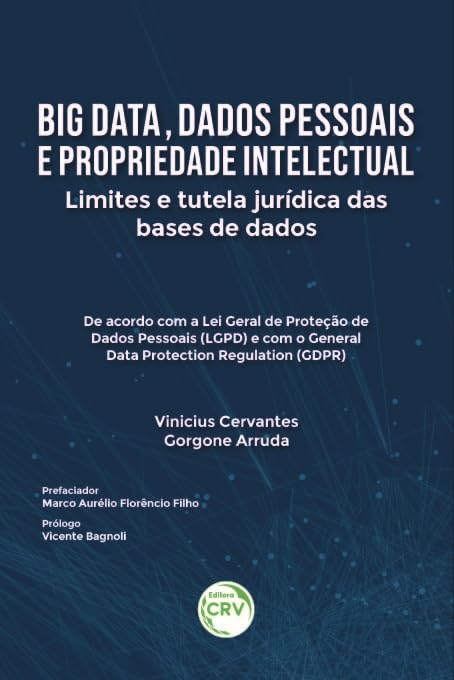 Big data, dados pessoais e propriedade intelectual: Aplicações em economia baixar livro de graça