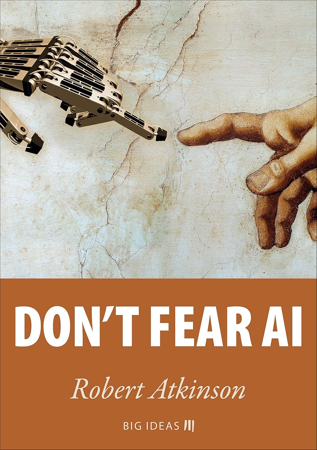 Don't fear AI (Big Ideas Book 2) (English Edition)