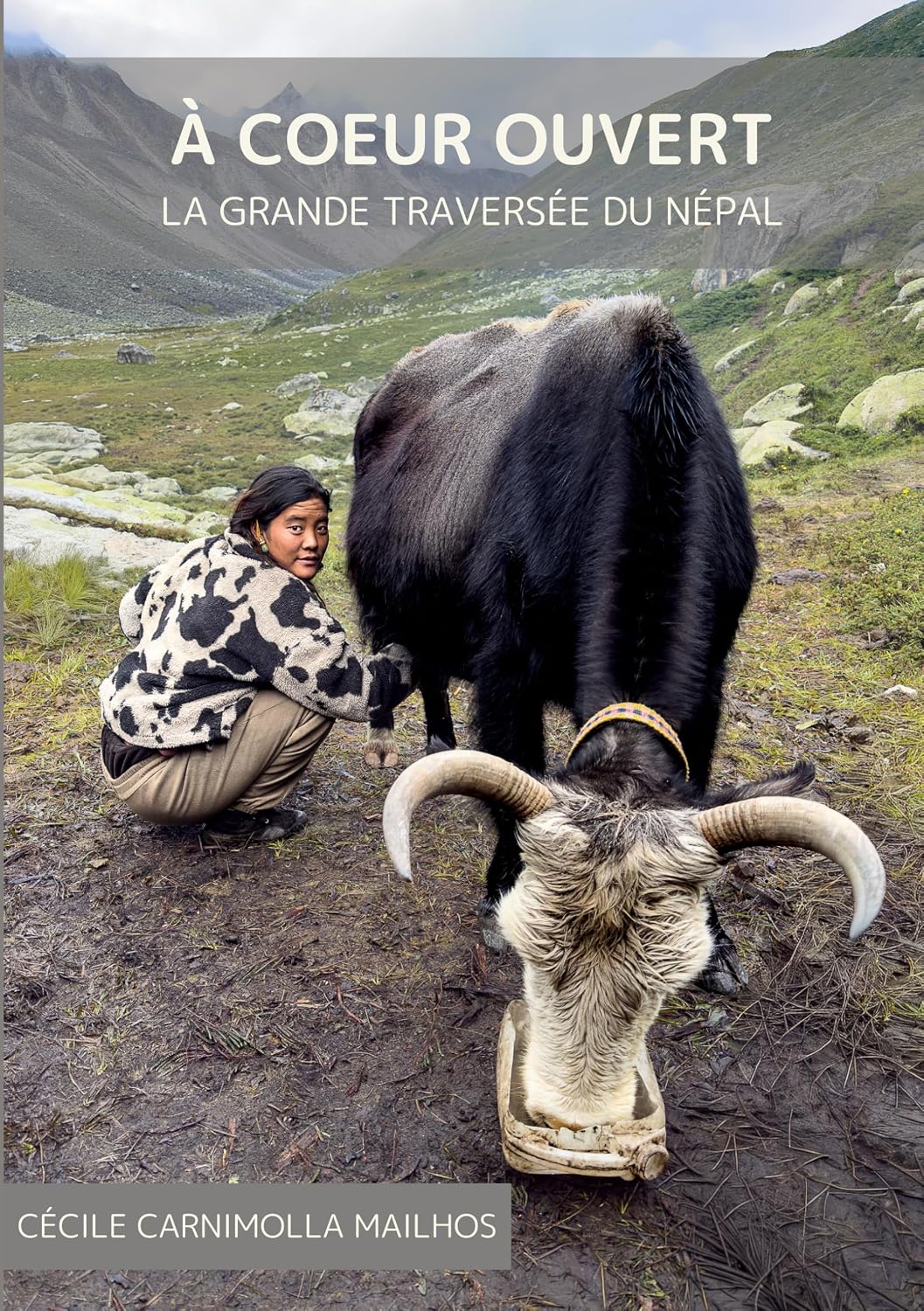 capítulo por capítulo baixar À coeur ouvert: La Grande Traversée du Népal (French Edition)