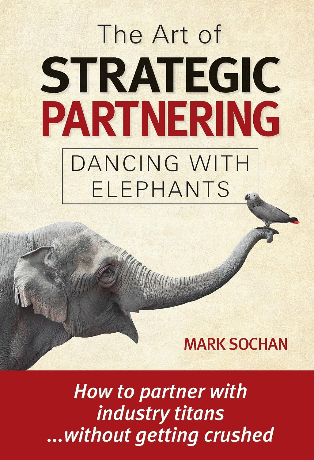 The Art of Strategic Partnering: Dancing with Elephants (English Edition) baixar livro de graça