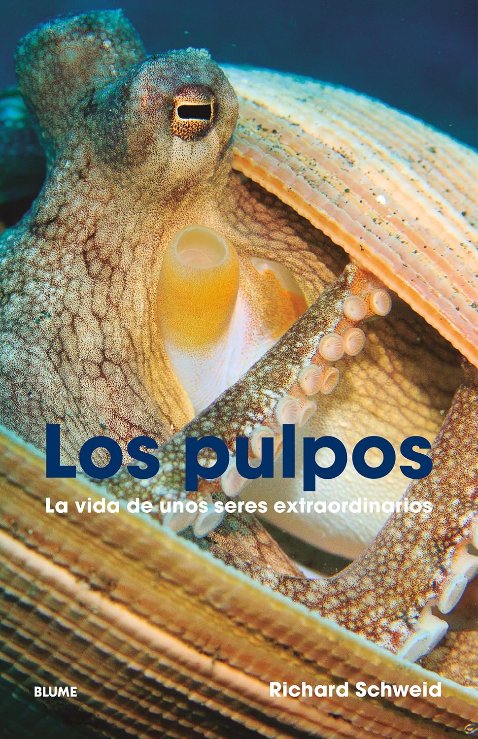 Los Pulpos: La vida de unos seres extraordinarios (Spanish Edition)