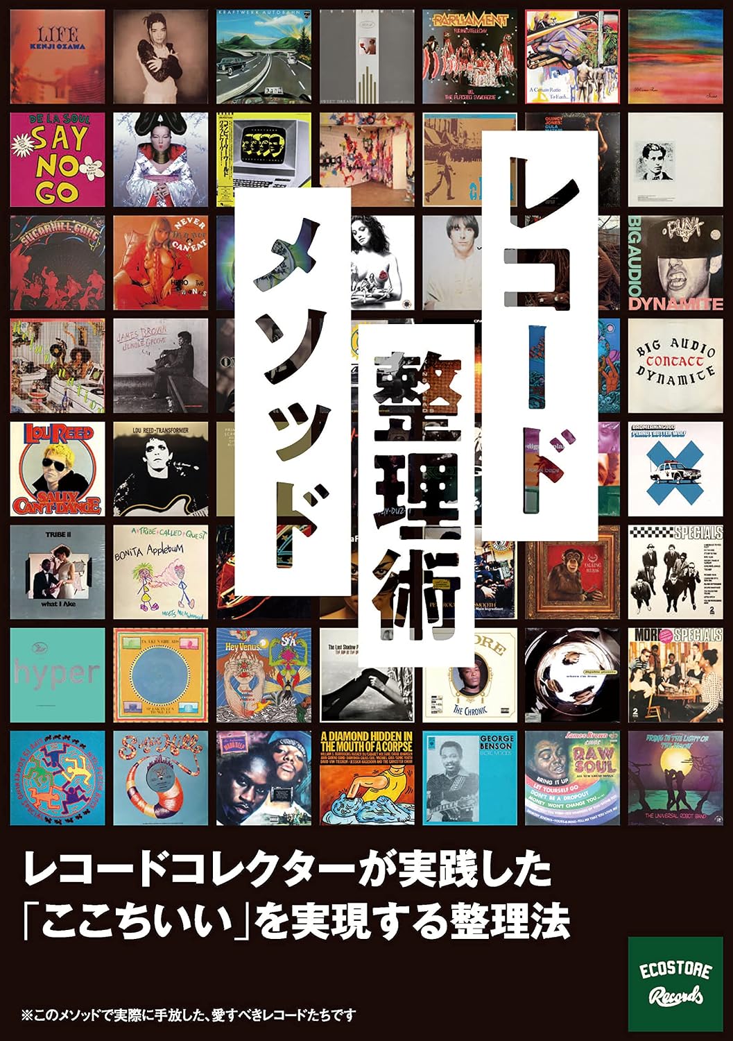vinyl record organize book: reko-dokorekuta-gazissennsitakokotiiiwozitugennsuruseirihou (Japanese Edition) baixar livro de graça