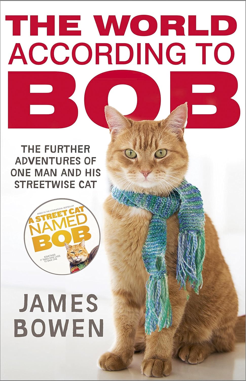 The World According to Bob: The further adventures of one man and his street-wise cat (English Edition) baixar livro de graça