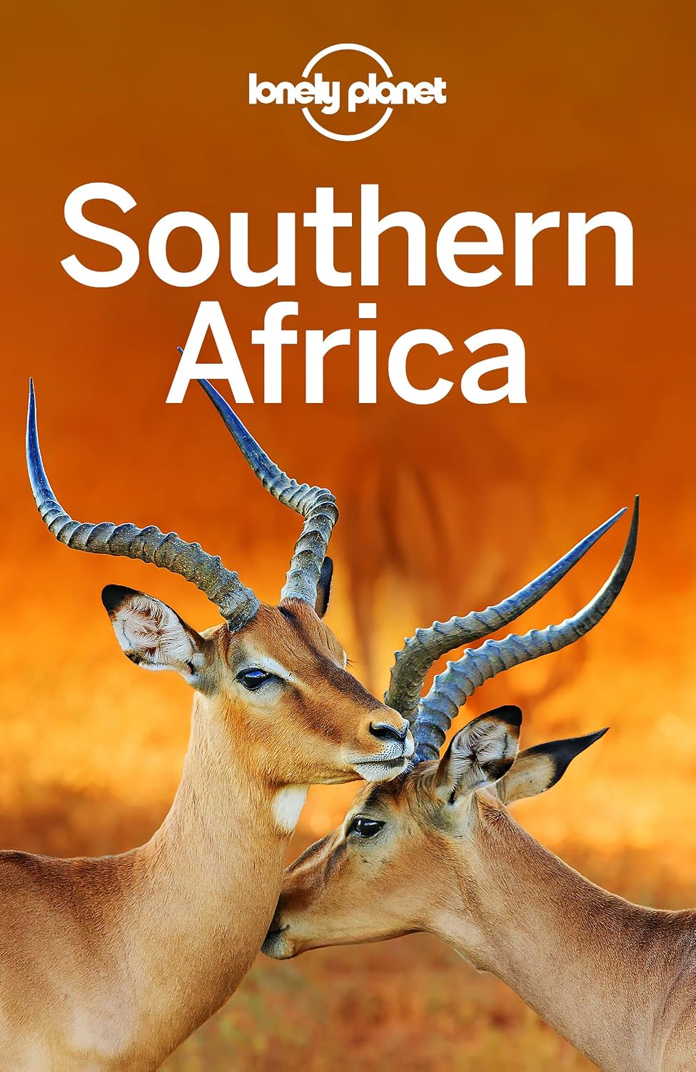 Lonely Planet Southern Africa (Travel Guide) (English Edition)