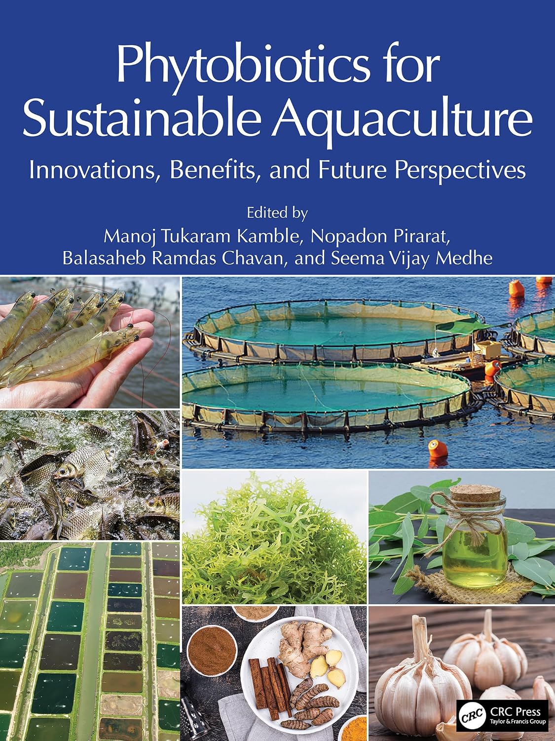 capítulo por capítulo baixar Phytobiotics for Sustainable Aquaculture: Innovations, Benefits, and Future Perspectives (English Edition)