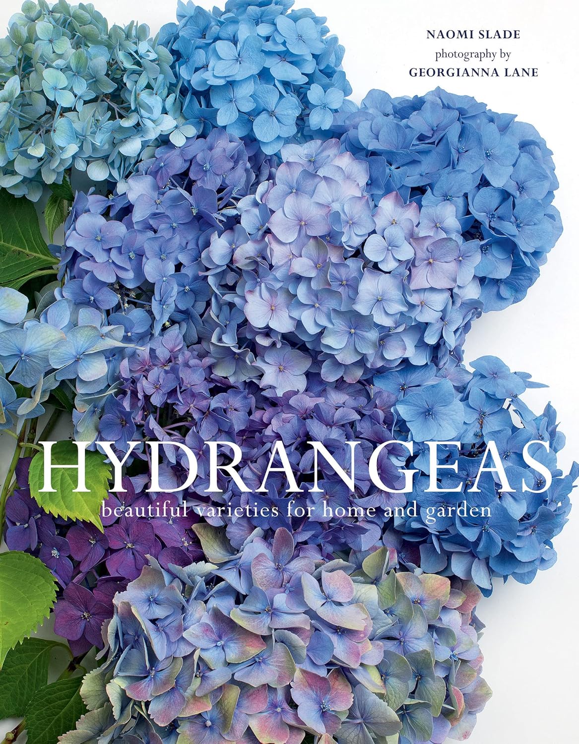 ler totalmente Hydrangeas: Beautiful Varieties for Home and Garden