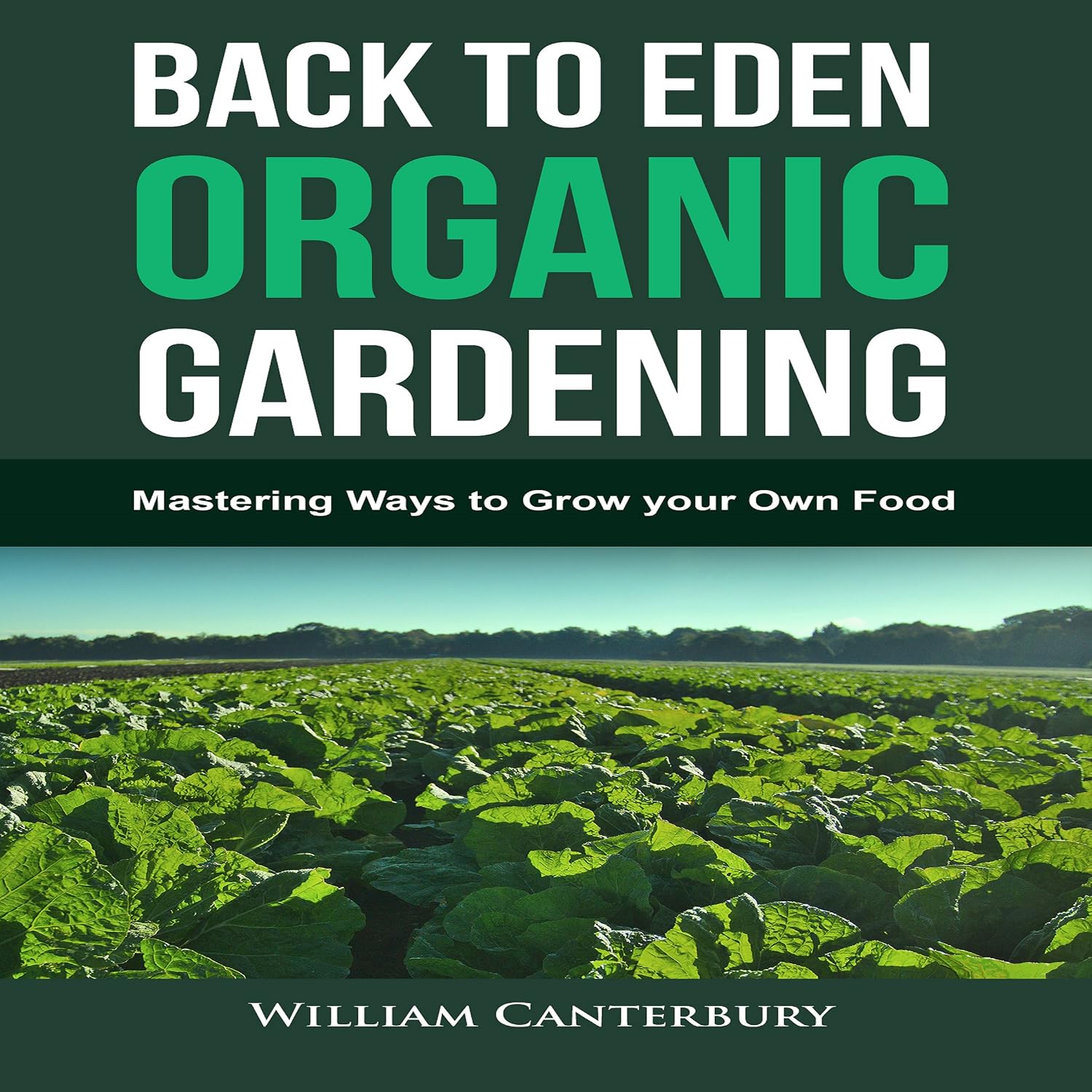 Back to Eden Organic Gardening: Mastering Ways to Grow Your Own Food baixar o livro de graça