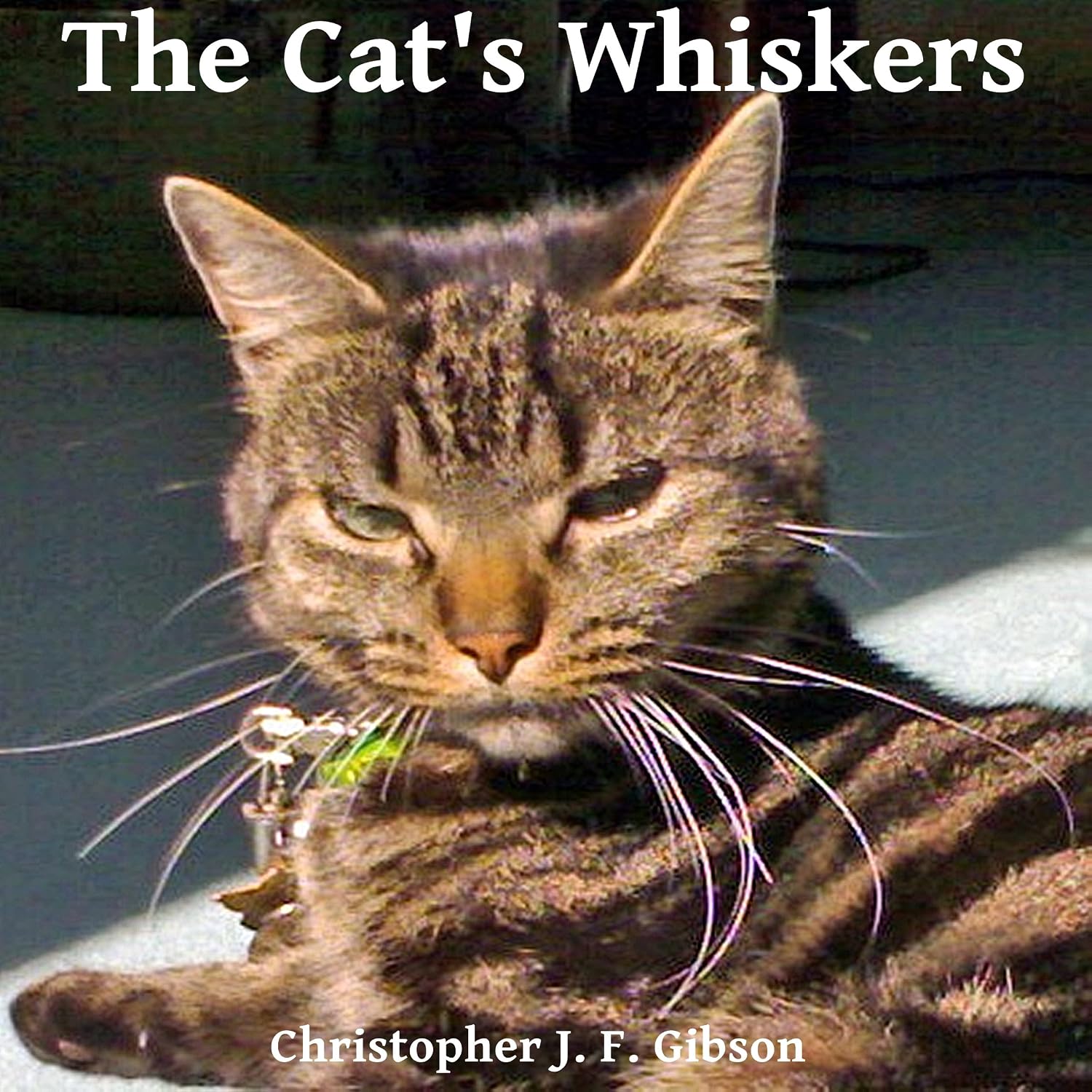 The Cat's Whiskers baixar livro de graça