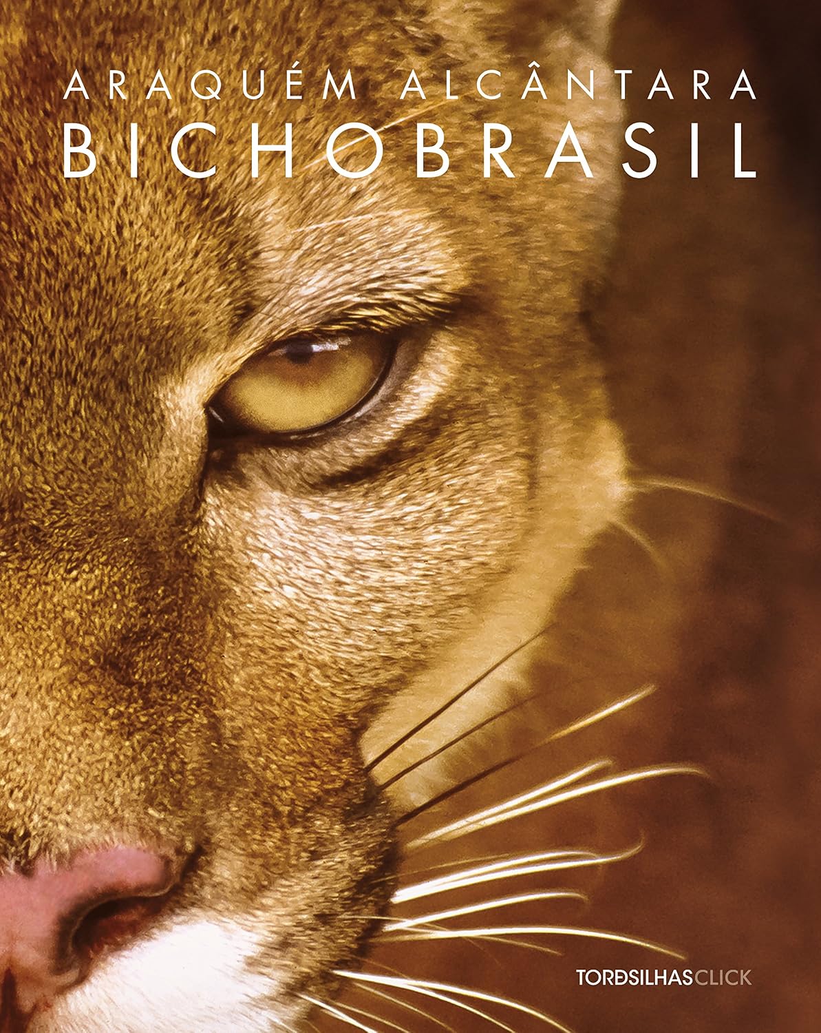 Bicho Brasil baixar o livro de graça