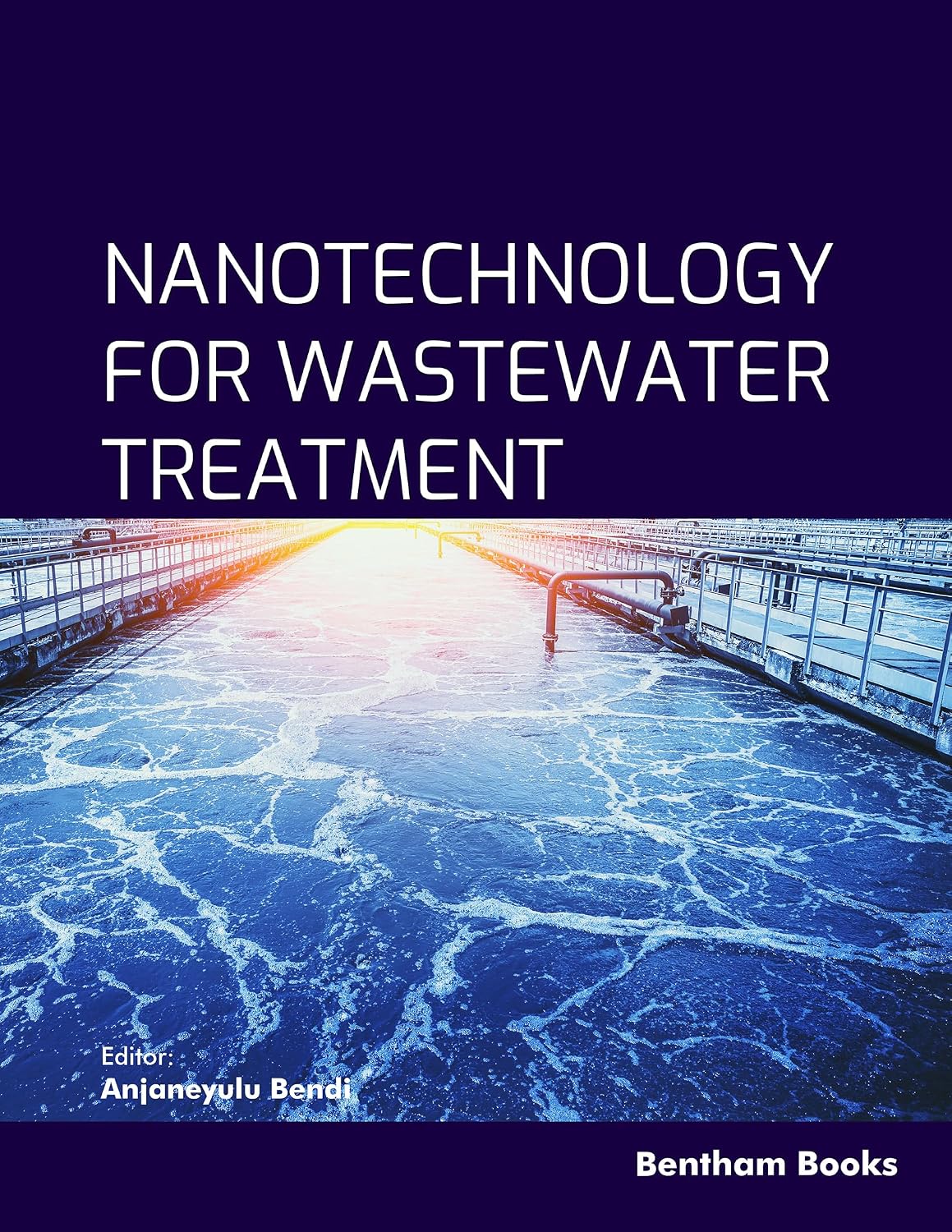 ler totalmente Nanotechnology for Wastewater Treatment (English Edition)