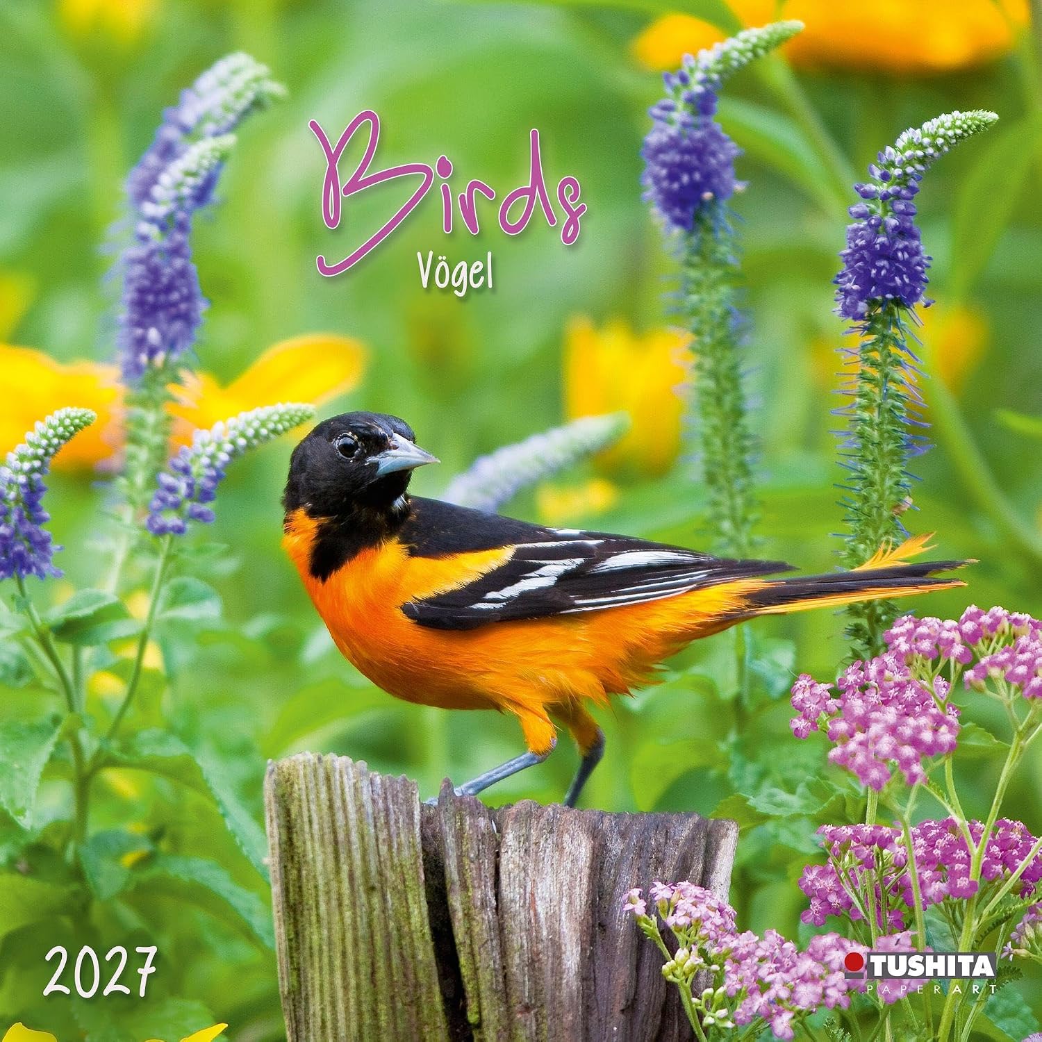 Birds 2027: Kalender 2027