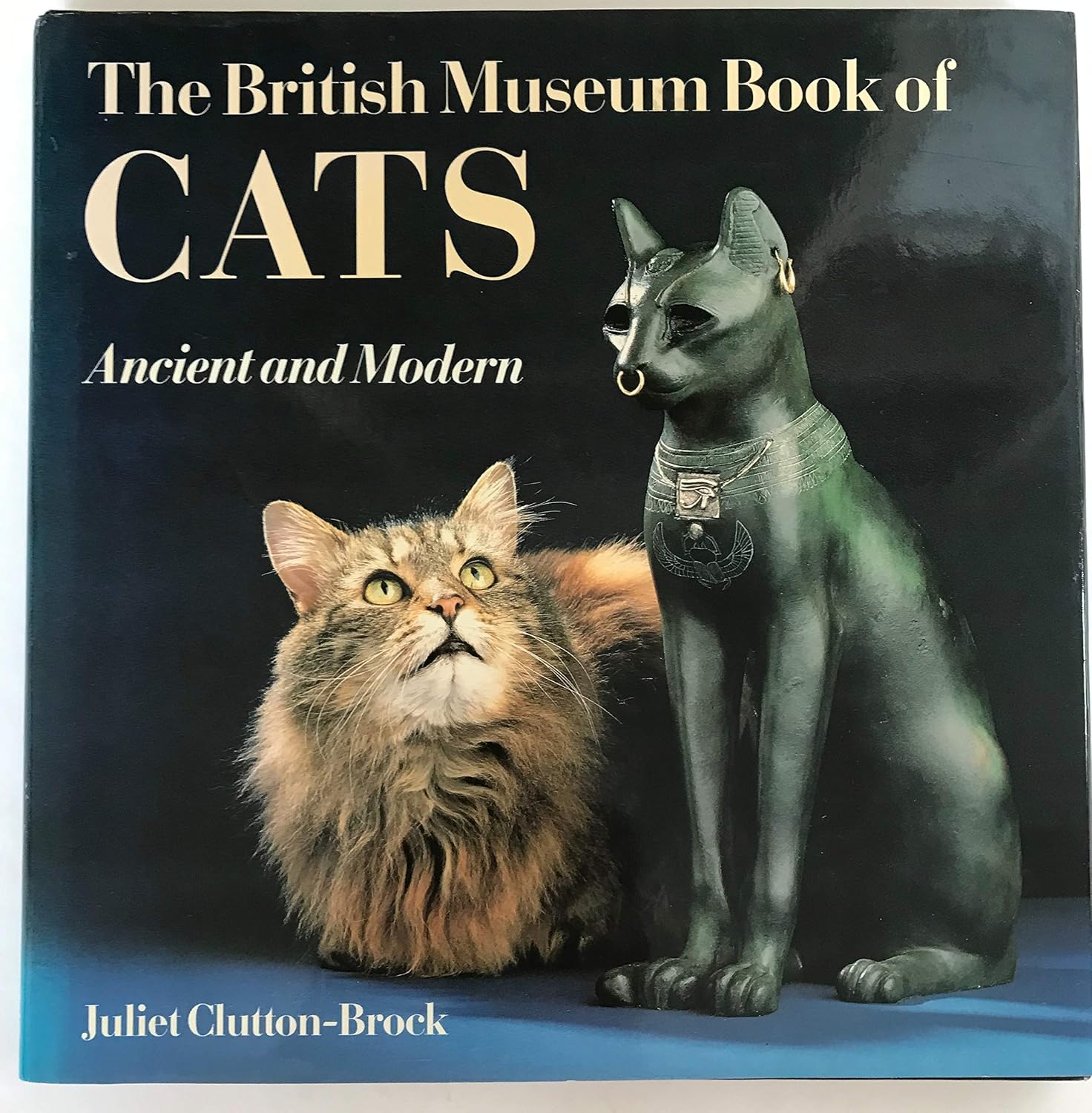 Cats: Ancient and Modern baixar livro de graça