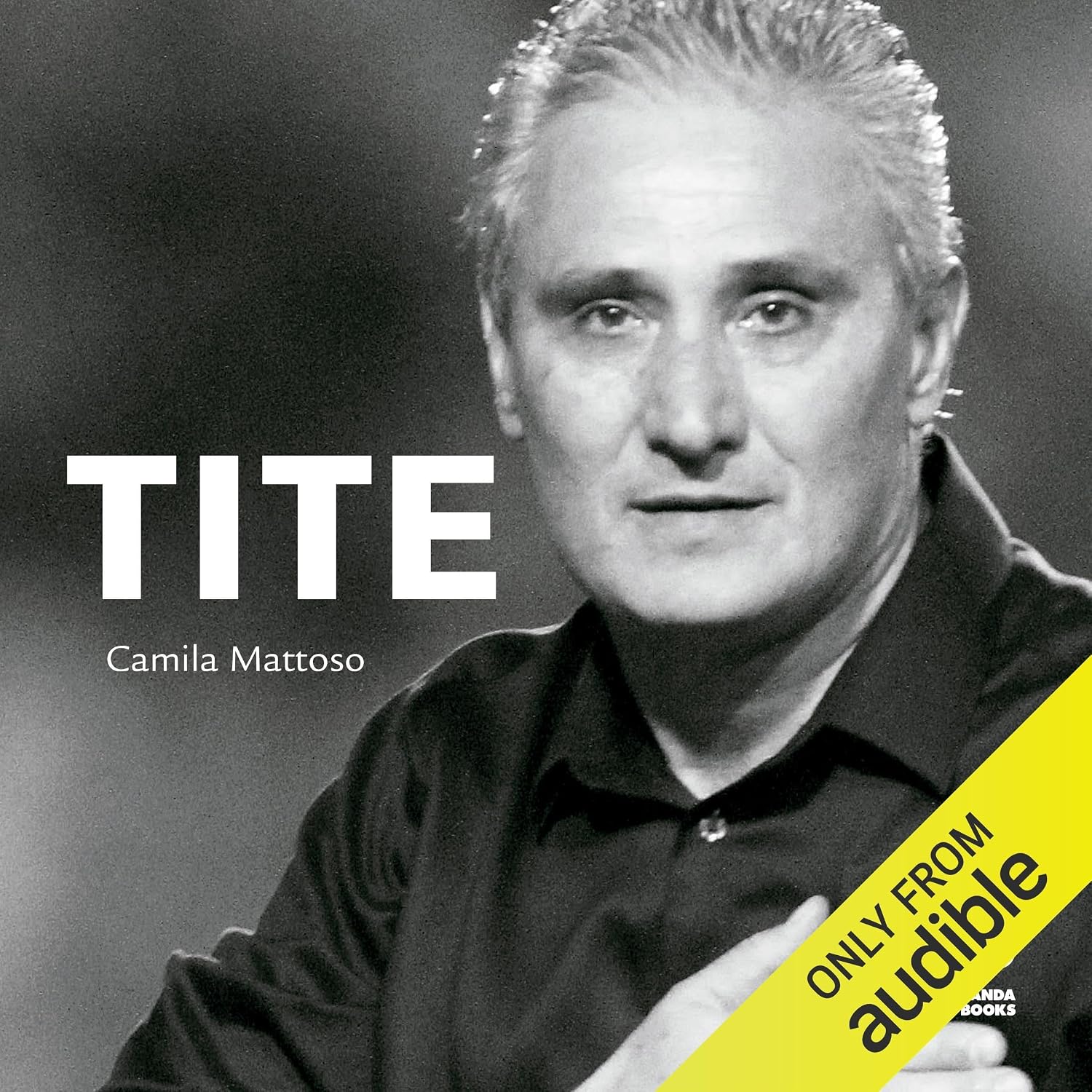 Tite baixar livro de graça