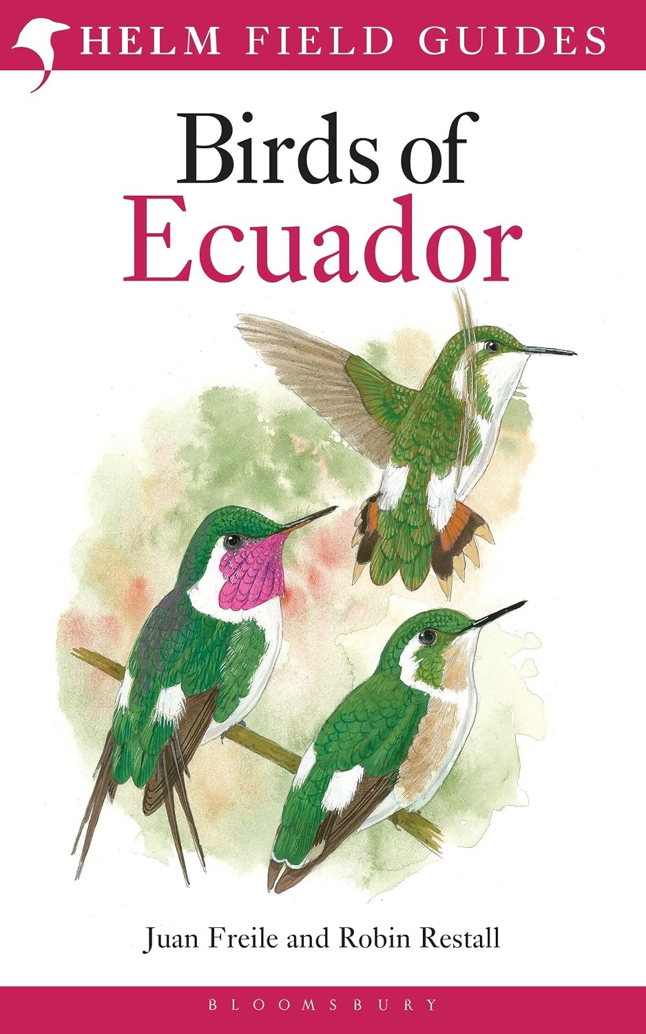 Field Guide to the Birds of Ecuador baixar o livro de graça