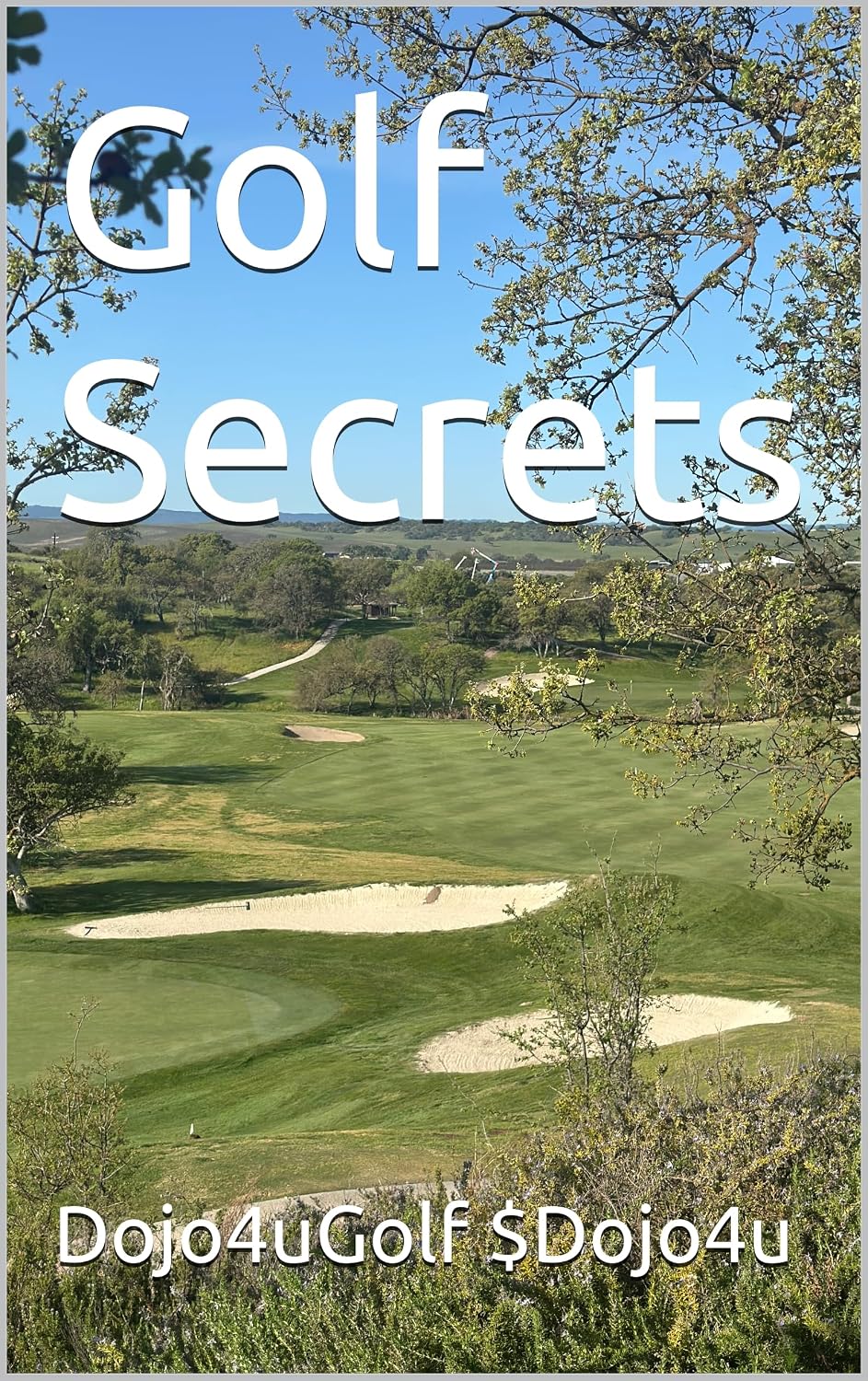ler totalmente Golf Secrets (English Edition)