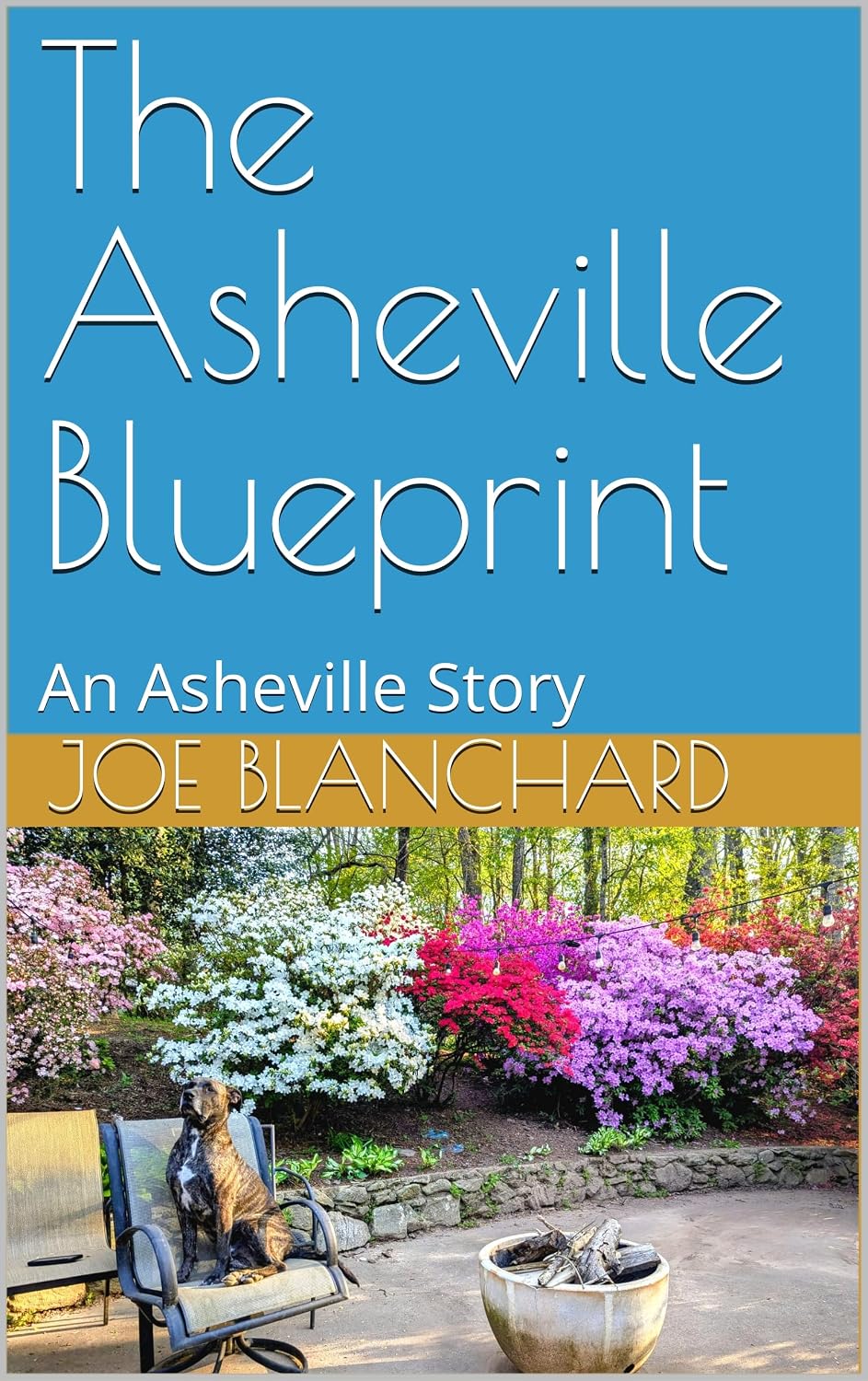 ler totalmente The Asheville Blueprint: An Asheville Story (English Edition)