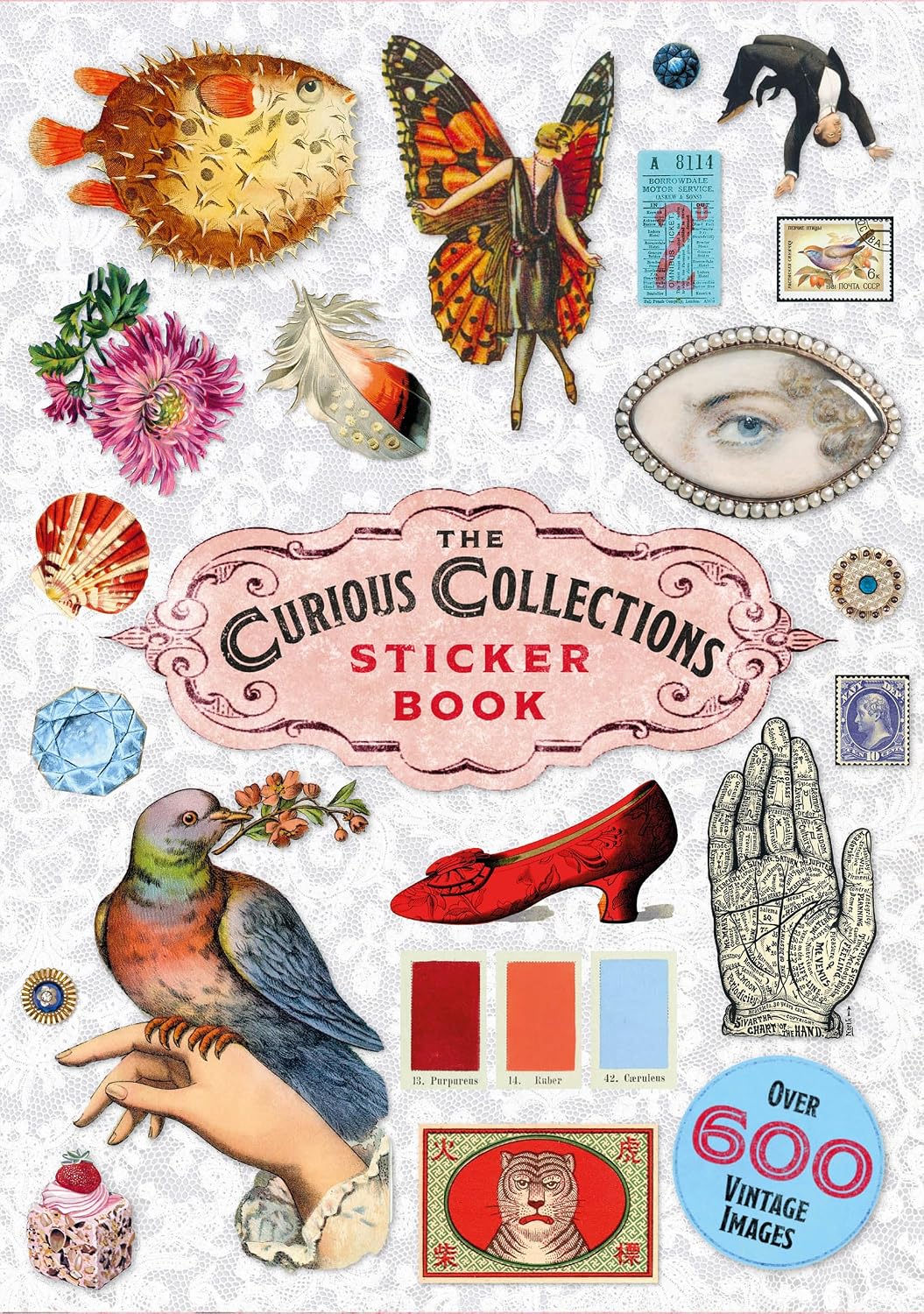 capítulo por capítulo baixar The Curious Collections Sticker Book
