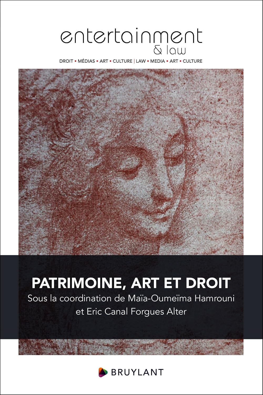 Patrimoine, art et droit (French Edition) baixar livro de graça