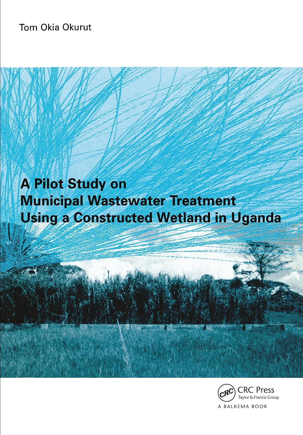 A Pilot Study on Municipal Wastewater Treatment Using a Constructed Wetland in Uganda (English Edition) baixar o livro de graça