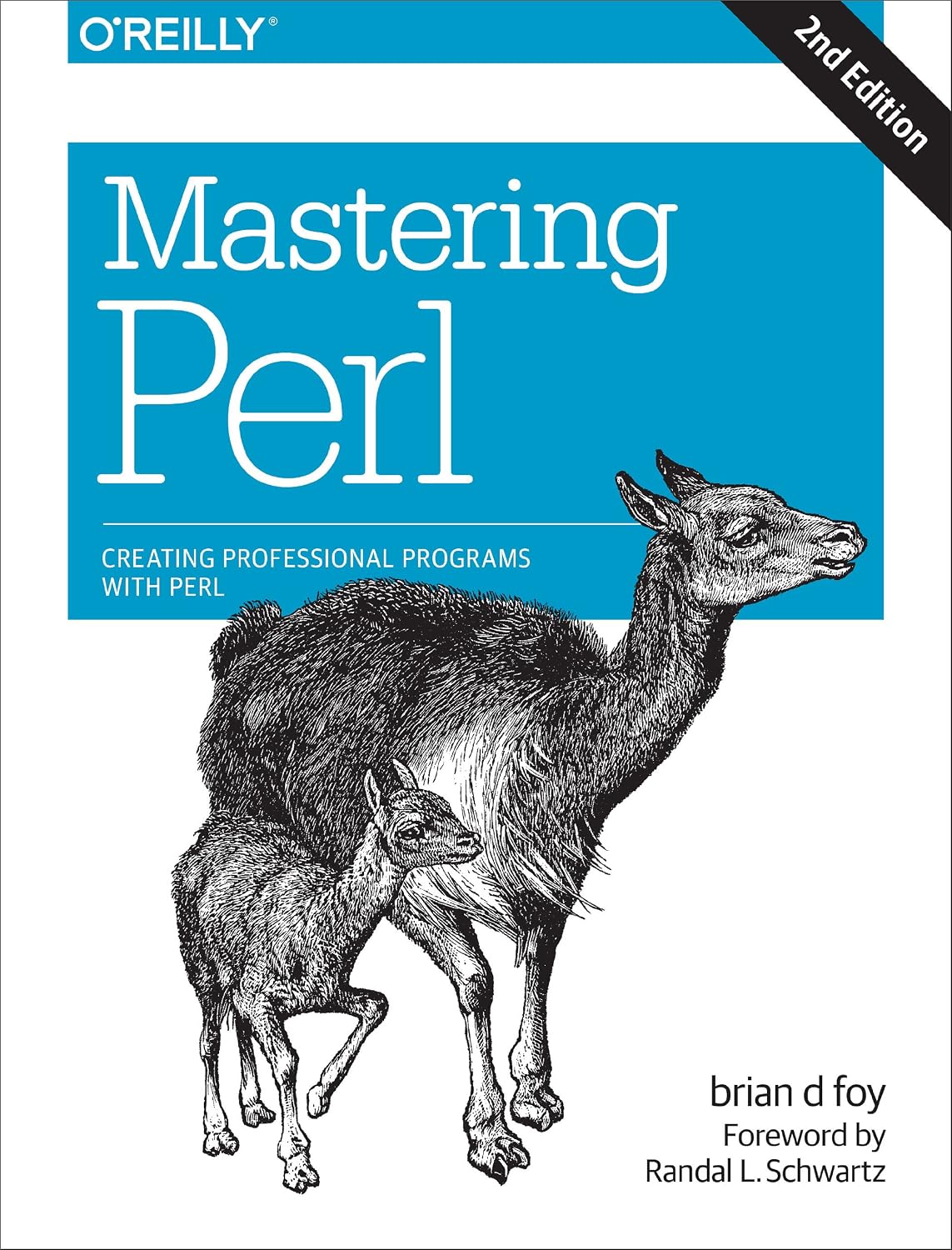 Mastering Perl: Creating Professional Programs with Perl (English Edition)