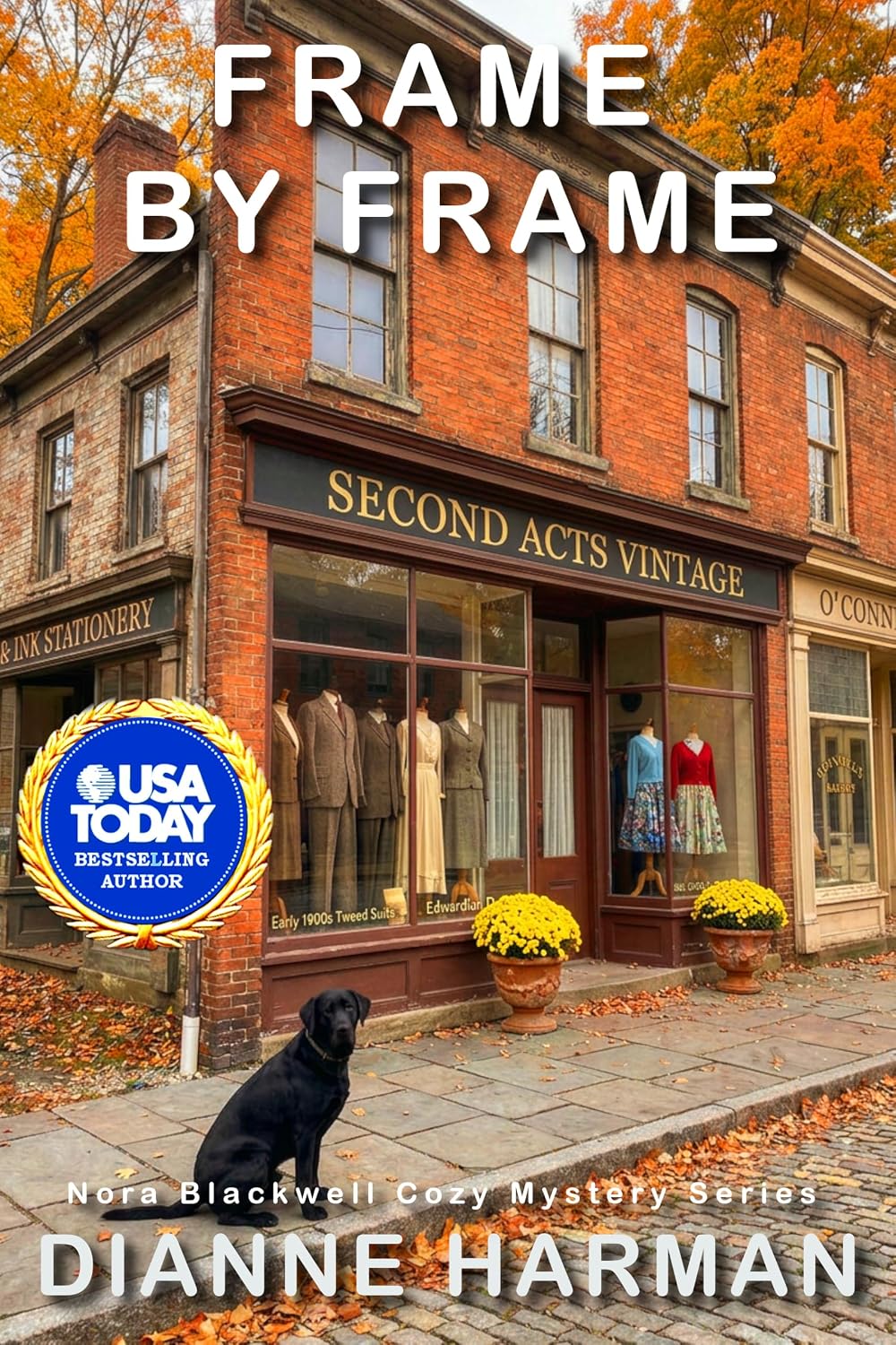 ler totalmente Frame by Frame: Nora Blackwell Cozy Mystery Series (English Edition)