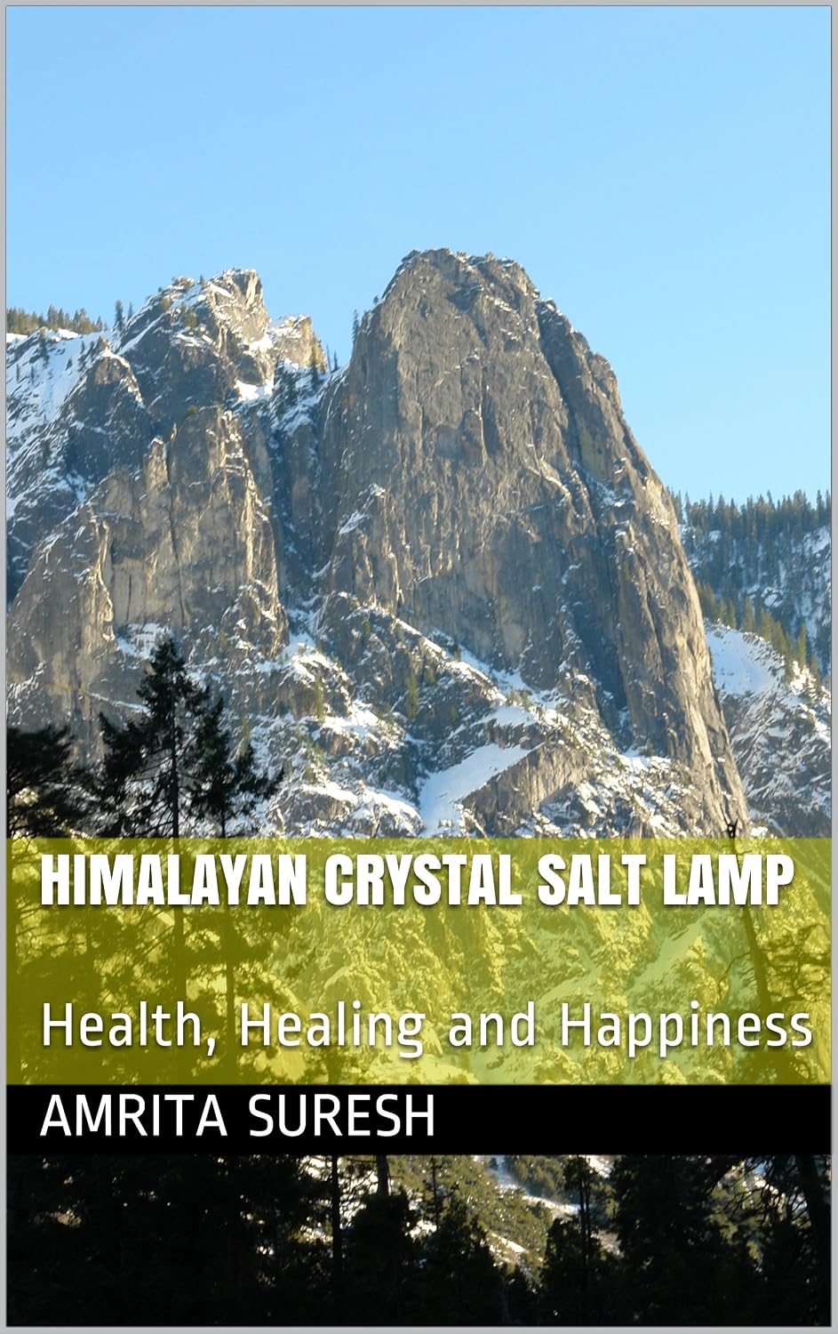 Himalayan Crystal Salt Lamp: Health, Healing and Happiness (English Edition) baixar livro de graça