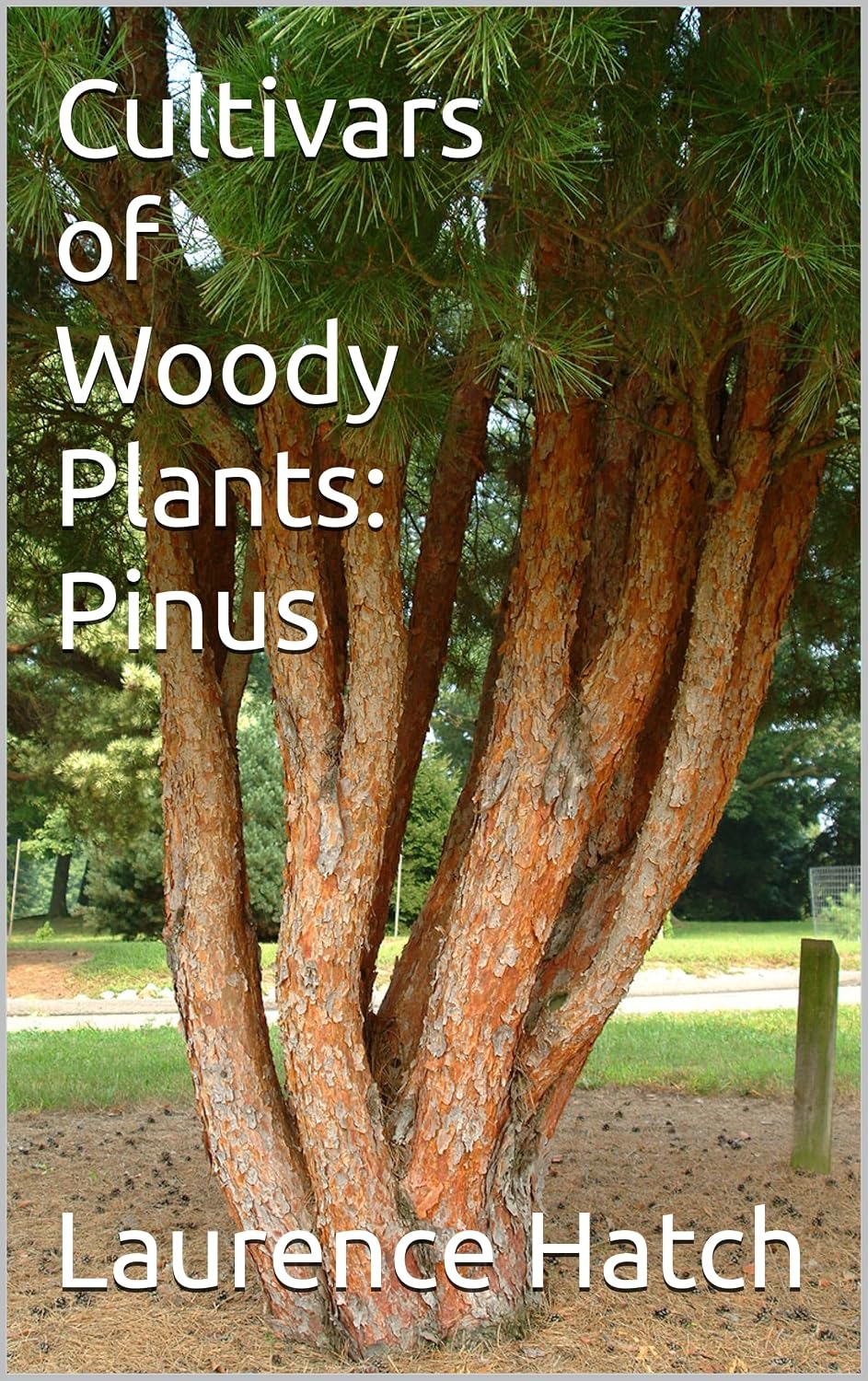 ler totalmente Cultivars of Woody Plants: Pinus (English Edition)