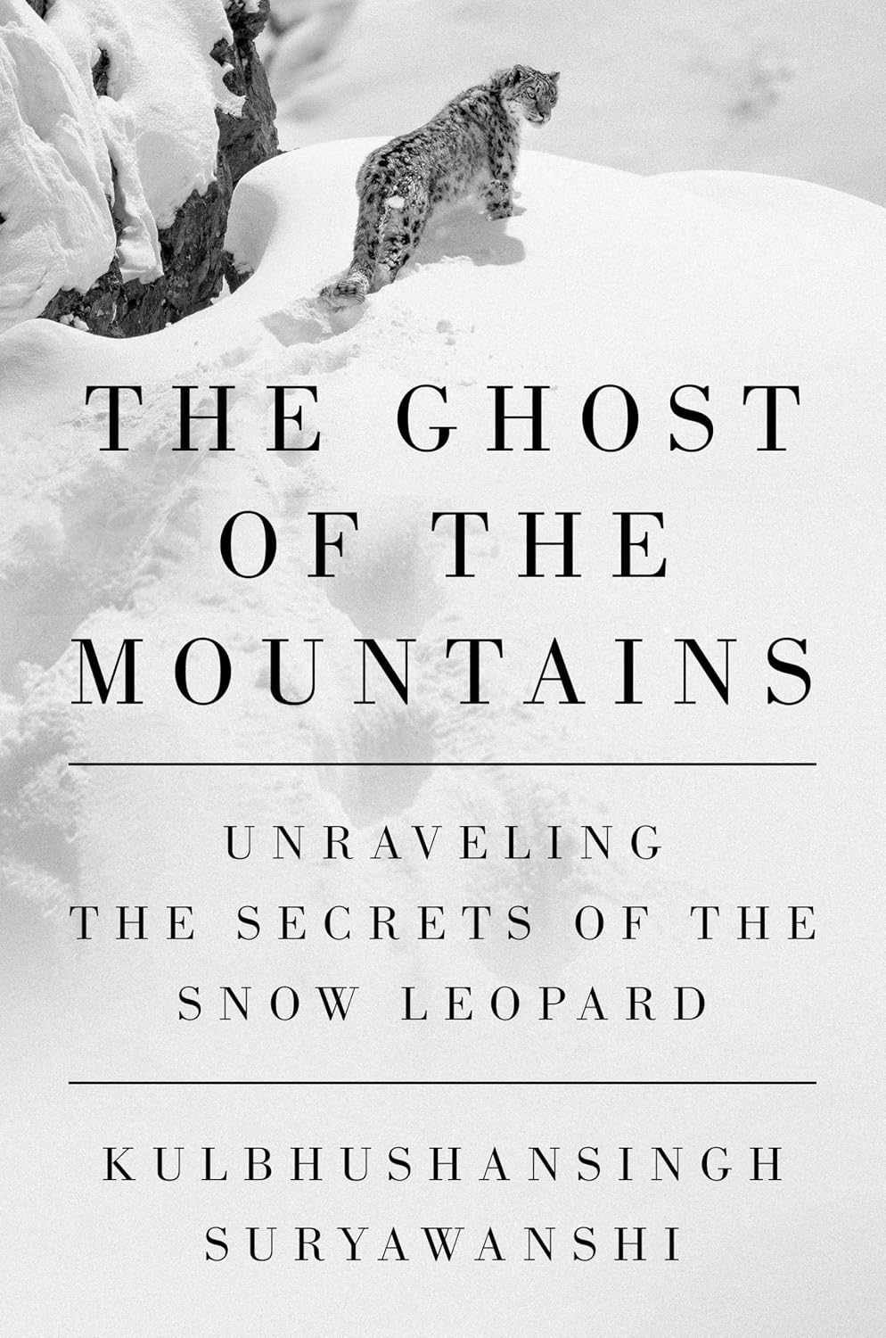 capítulo por capítulo baixar The Ghost of the Mountains: Unraveling the Secrets of the Snow Leopard