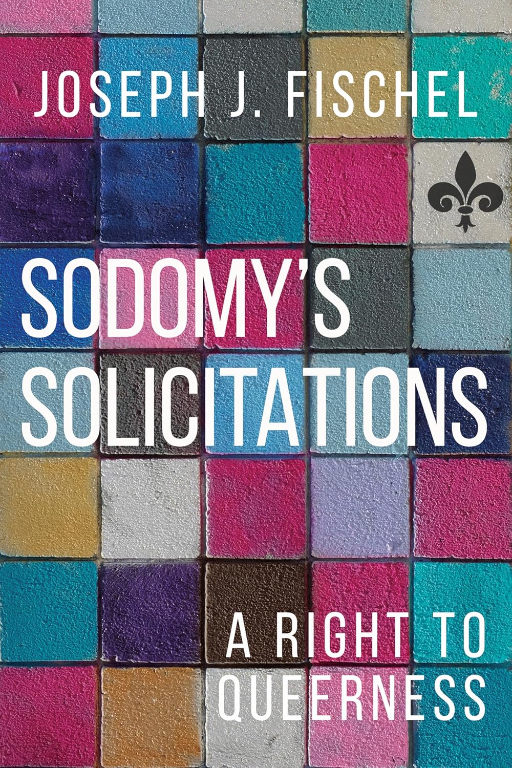 Sodomy's Solicitations: A Right to Queerness (English Edition) baixar livro de graça