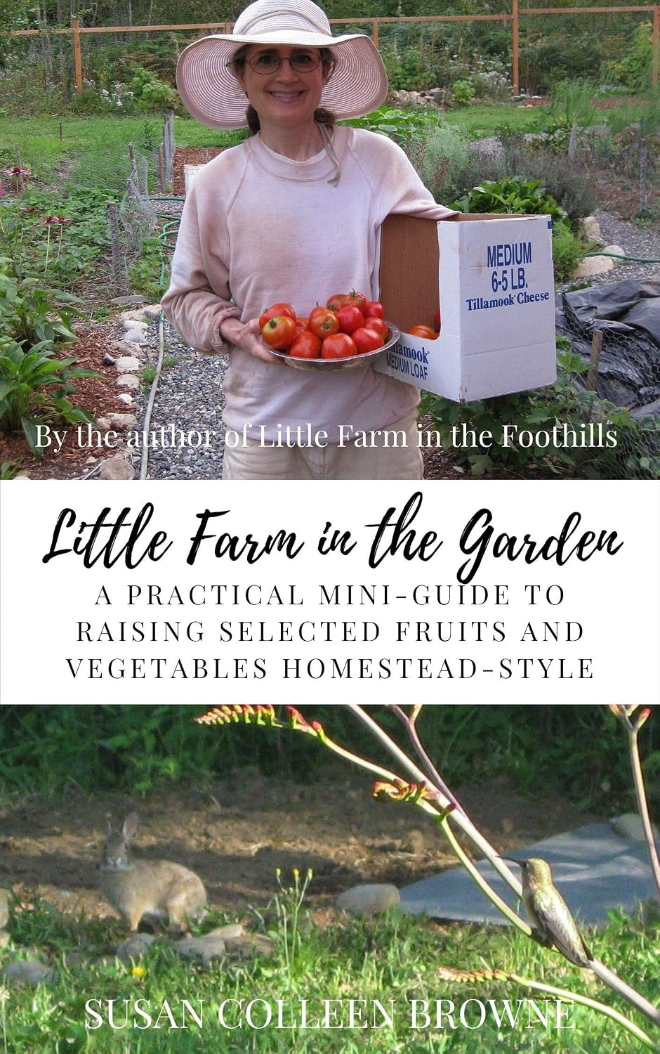 Little Farm in the Garden: A Practical Mini-Guide to Raising Selected Fruits and Vegetables Homestead-Style (Little Farm in the Foothills Book 3) (English Edition) baixar livro de graça