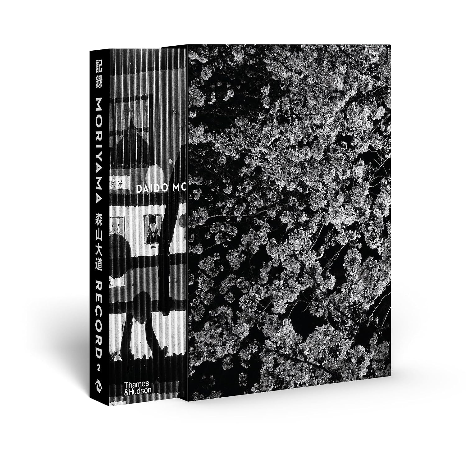 capítulo por capítulo baixar Daido Moriyama: Record 2