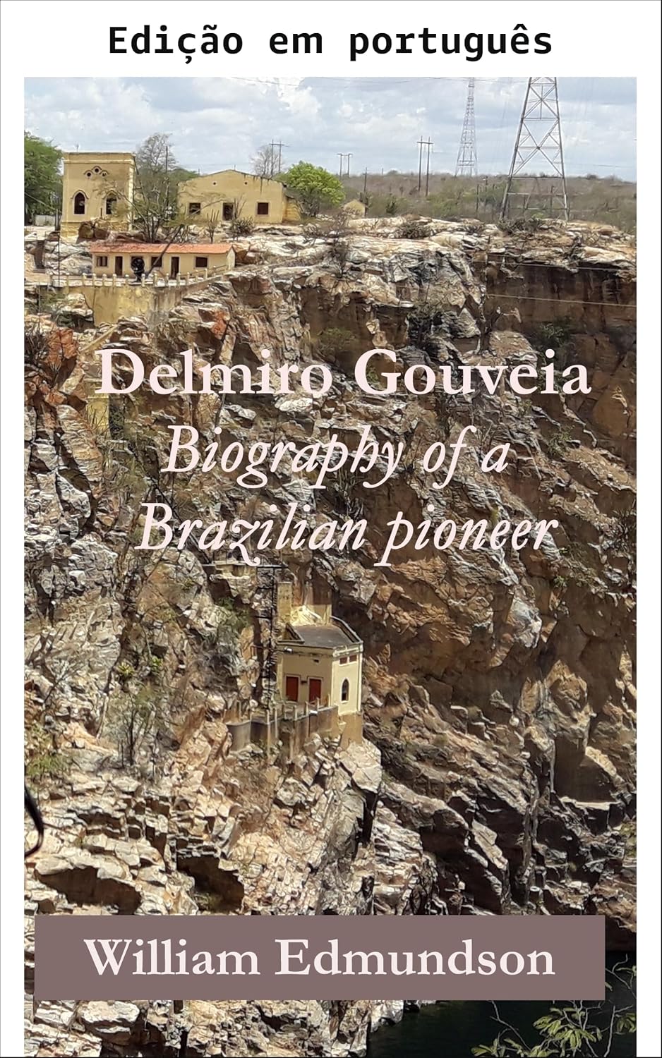 Delmiro Gouveia: Biografia de um pioneiro brasileiro baixar o livro de graça